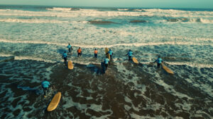 DJI_0003.00_01_41_17.Still006