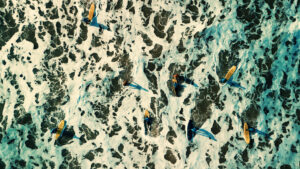 DJI_0003.00_02_09_28.Still001